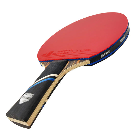 Professional 4/5/6 Star Carbon Table Tennis Racket Set